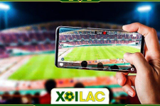 Xoilac TV - Trang Trực Tiếp Bóng Đá Chất Lượng